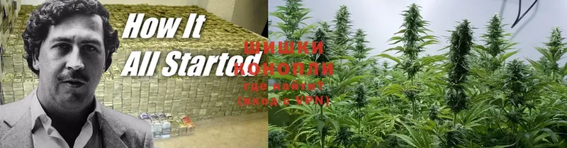 Бошки Шишки Ganja  блэк спрут зеркало  Кольчугино 